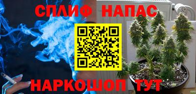 прущая мука Ачхой-Мартан